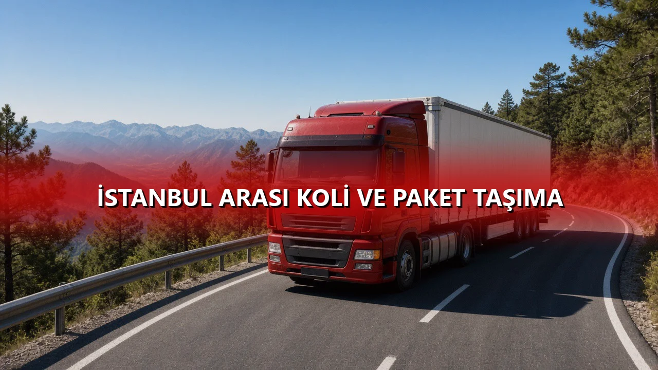 İstanbul Arası Koli ve Paket Taşıma